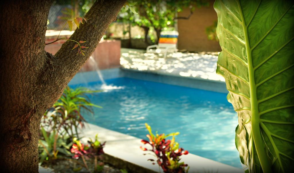 إكسوكيتيبك Suites La Flor Sagrada المظهر الخارجي الصورة