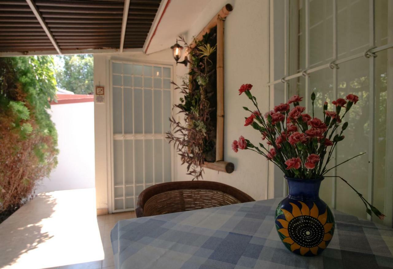 إكسوكيتيبك Suites La Flor Sagrada المظهر الخارجي الصورة